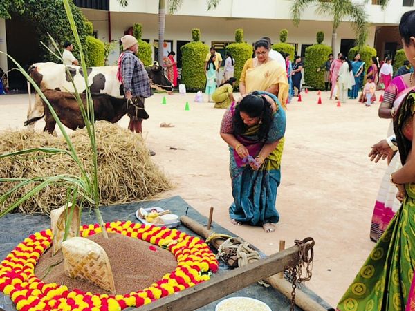 Sankranthi Celebration 13