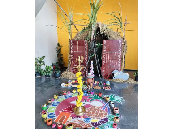 Sankranthi Celebration 14