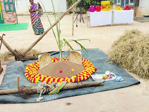 Sankranthi Celebration 5