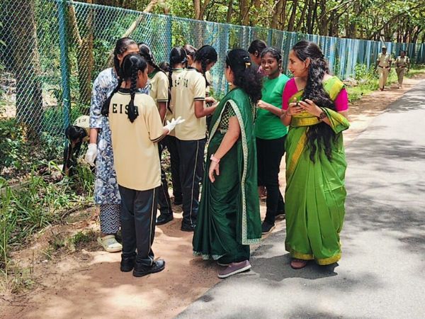 world Environment day2