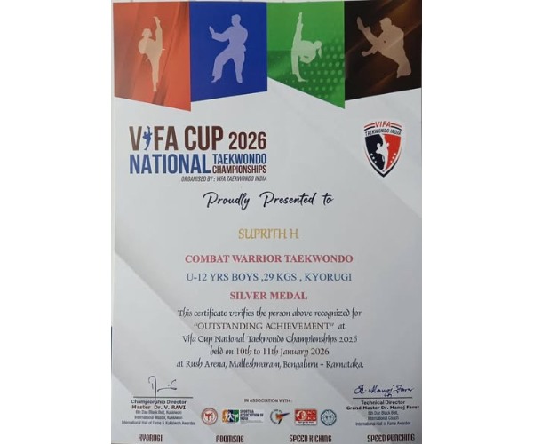 VIFA Cup 3
